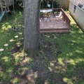 Room for rent in College Park MD #14