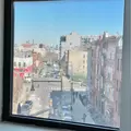 Coliving in Crown Heights - Brooklyn, New York