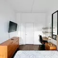 Coliving in Crown Heights - Brooklyn, New York