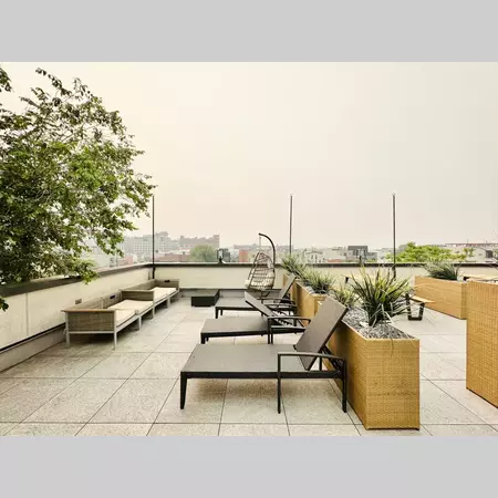 Coliving in Bushwick - Brooklyn, New York