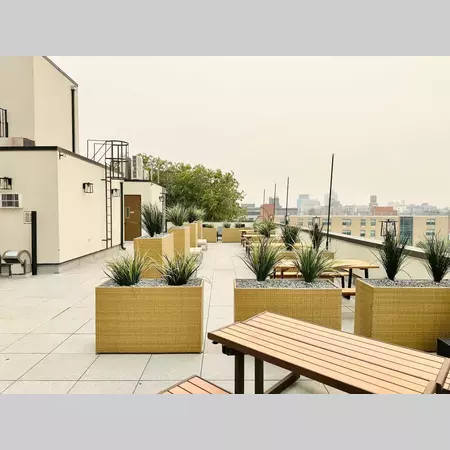 Coliving in Bushwick - Brooklyn, New York