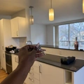 Room for rent in Yonge–Eglinton #2