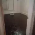 Room for rent in Crown Heights #12