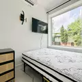 Coliving in Bushwick - Brooklyn, New York