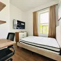 Coliving in Crown Heights - Brooklyn, New York