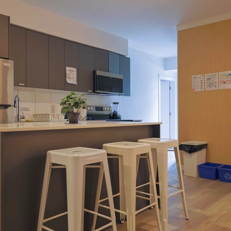 Coliving in Kensington-Cedar Cottage - East Van, Vancouver