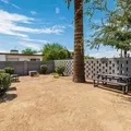 Room for rent in Camelback East #14