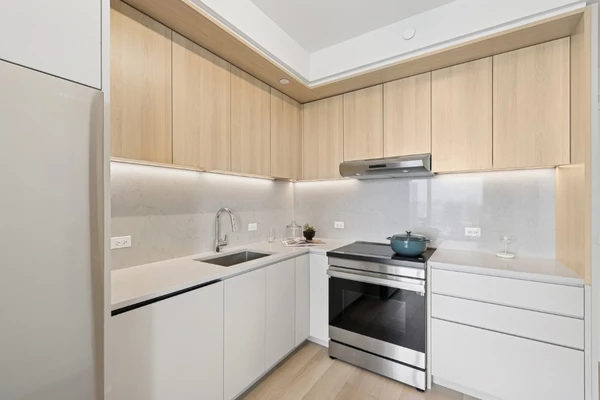 1 bedroom apartment for rent in Downtown Brooklyn - Brooklyn, New York