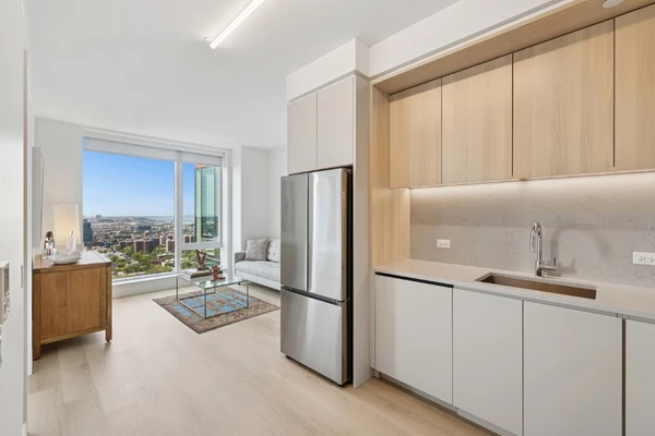 1 bedroom apartment for rent in Downtown Brooklyn - Brooklyn, New York