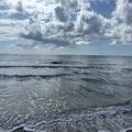 Room for rent in Fort Lauderdale #22