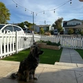 Room for rent in North Park #2