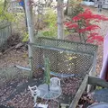 Room for rent in Silver Spring #17