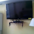 Room for rent in Downtown DC #1