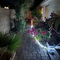 Room for rent in Las Vegas #8