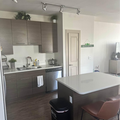 Room for rent in Chandler #4