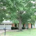 Room for rent in Benbrook #1