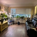 Room for rent in Uptown Denver #1