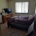 Room for rent in West Cambridge #4