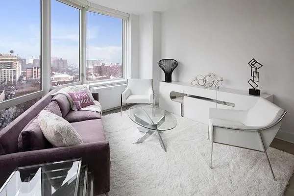 1 bedroom apartment for rent in Downtown Brooklyn - Brooklyn, New York