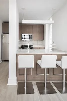 1 bedroom apartment for rent in Downtown Brooklyn - Brooklyn, New York