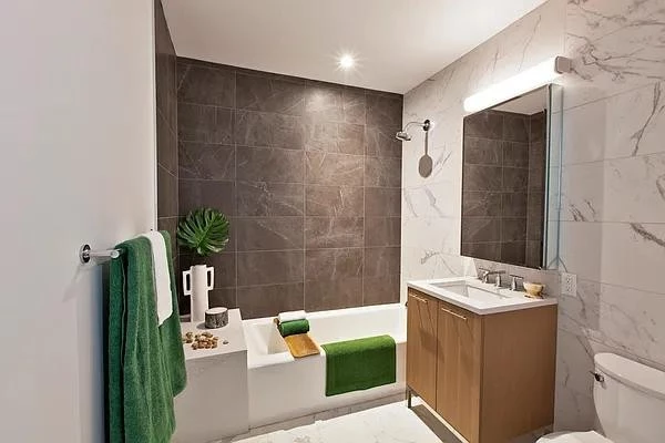1 bedroom apartment for rent in Downtown Brooklyn - Brooklyn, New York