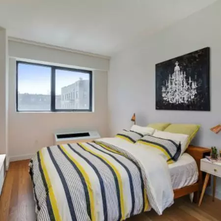 2 bedrooms apartment for rent in Prospect Lefferts Gardens - Brooklyn, New York