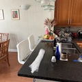 Room for rent in Fort Lauderdale #4