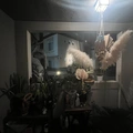Room for rent in La Jolla #4