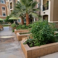Room for rent in Aliso Viejo #5