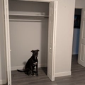 Room for rent in New Westminster #7