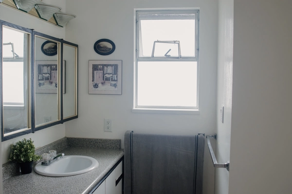 Coliving in Metrotown - Burnaby / New West, Vancouver