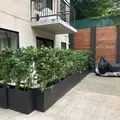 Coliving in Bushwick - Brooklyn, New York