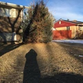 Room for rent in Aurora CO #3
