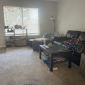 Room for rent in Mesa #1