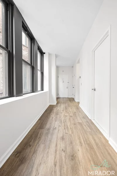 Studio Apartment for rent in FiDi - Manhattan, New York