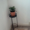 Room for rent in San Pedro #15