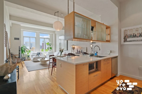 1 bedroom apartment for rent in Dumbo - Brooklyn, New York