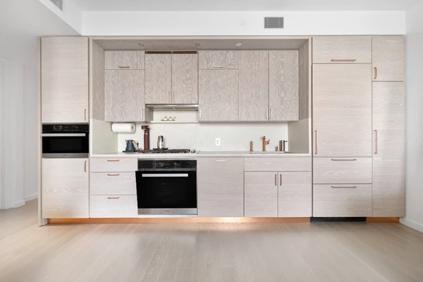1 bedroom apartment for rent in Downtown Brooklyn - Brooklyn, New York