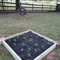 Room for rent in Douglasville #5