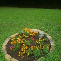 Room for rent in Douglasville #11