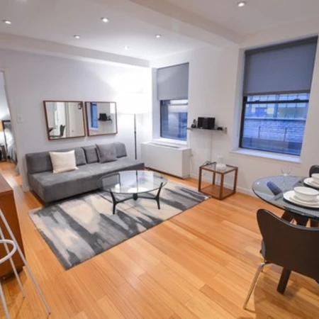 1 bedroom apartment for rent in Midtown West - Manhattan, New York