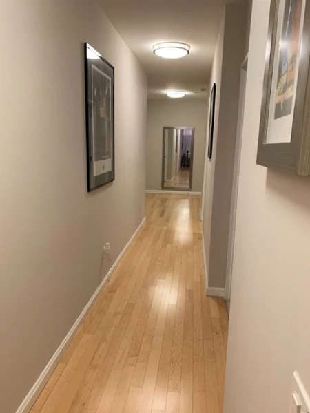 1 bedroom apartment for rent in FiDi - Manhattan, New York