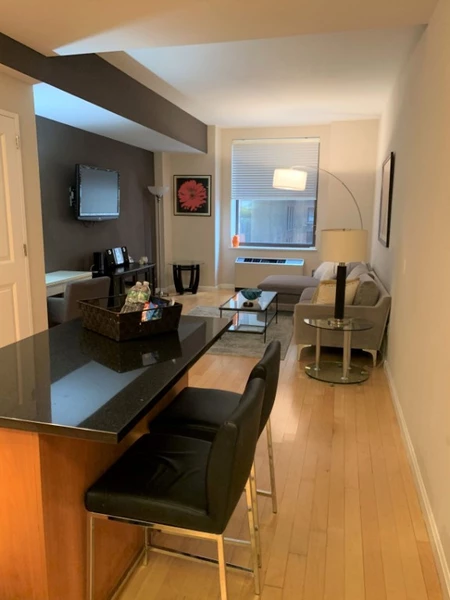 1 bedroom apartment for rent in FiDi - Manhattan, New York