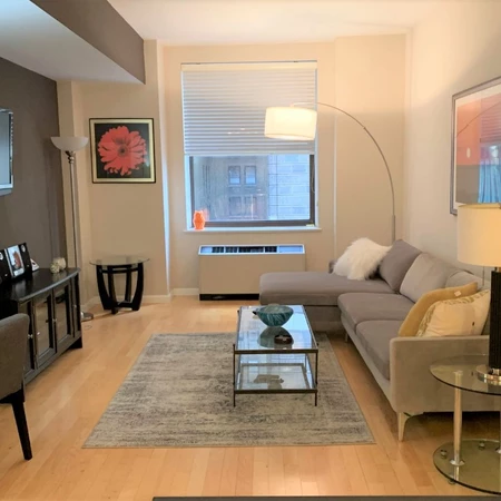 1 bedroom apartment for rent in FiDi - Manhattan, New York