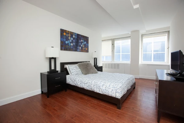 1 bedroom apartment for rent in FiDi - Manhattan, New York