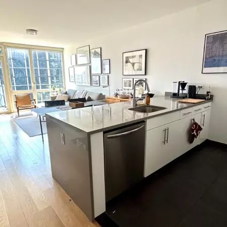 1 bedroom apartment for rent in Downtown Brooklyn - Brooklyn, New York