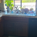 Room for rent in Rancho Bernardo #13