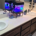 Room for rent in Rancho Bernardo #15