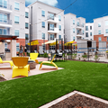 Room for rent in Central Arlington #5