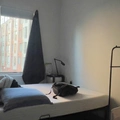 Room for rent in Mission Hill #9